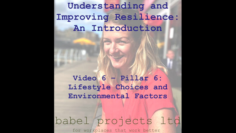 Pillar 6: Lifestyle Choices and Environmental Factors